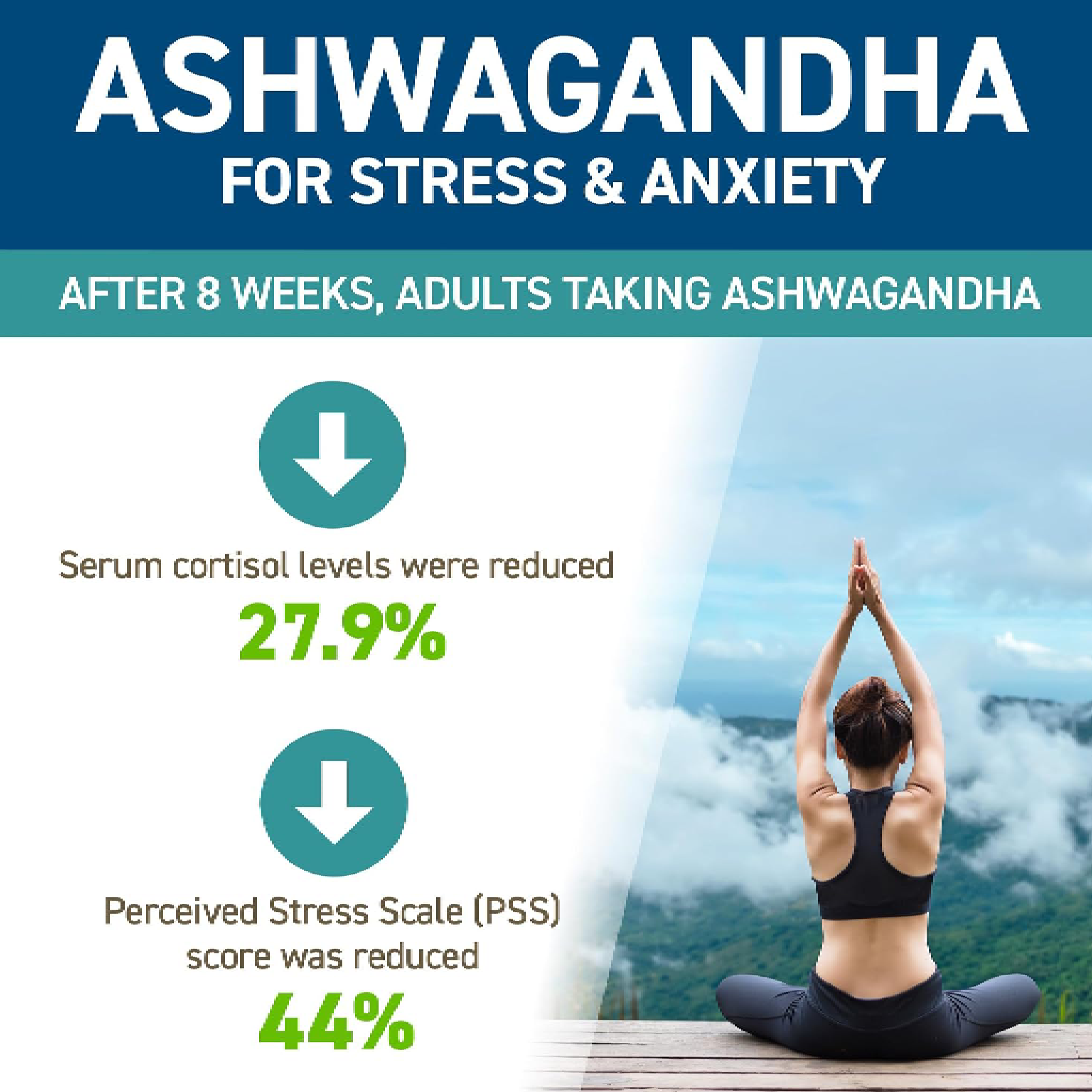 Applied Nutrition Ashwagandha KSM-66 (Halal) ( 60 Servings )