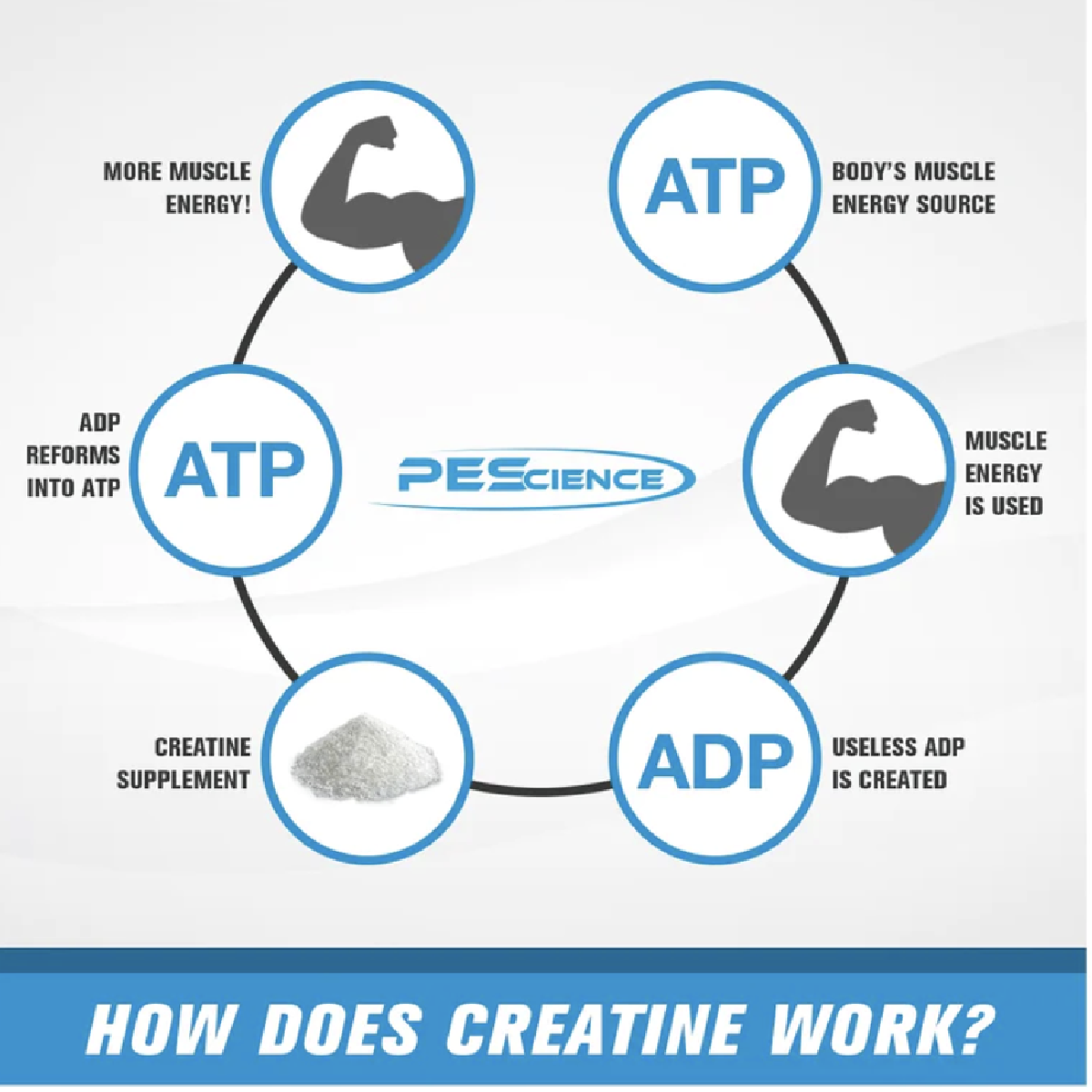 PEScience TruCreatine Capsules