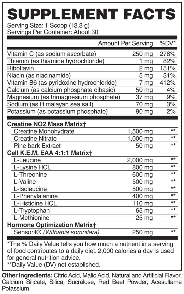 Evogen CELL K.E.M. PR - POST TRAINING CREATINE & AMINO BUILDER